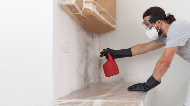 Professional Mold Removal technician working in Waverly, NY